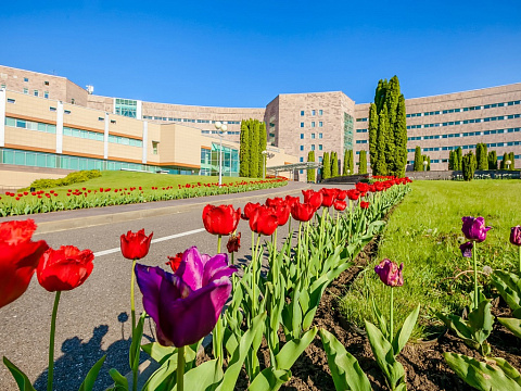 Санаторий «Заря», Кисловодск. Территория